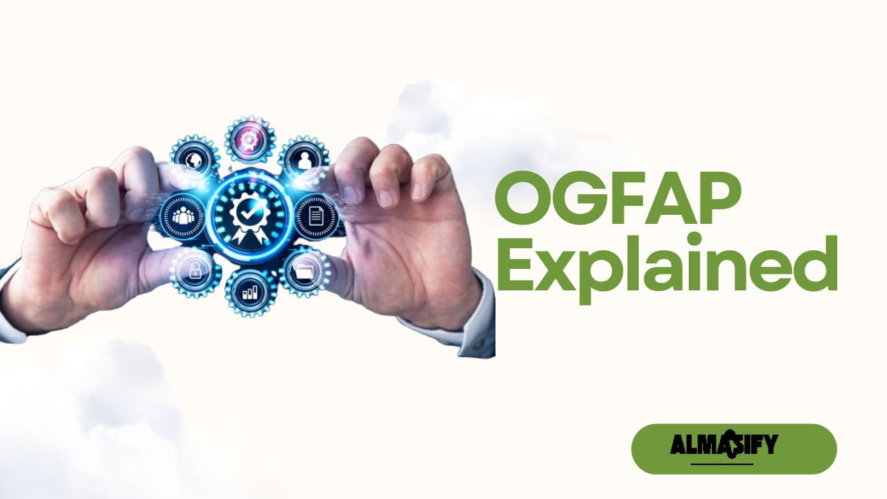 OGFAP Explained: Unlocking Governance & Performance Success
